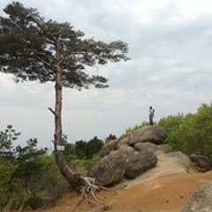Tamotsu Aramaki