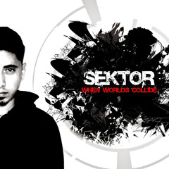 Dj-Sektor