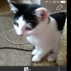 Sophie_clarke_35