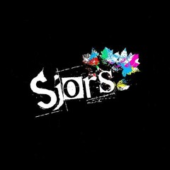 Sjors Findhammer