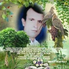 Bu Gün Bayram