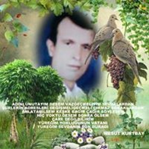 Bu Gün Bayram