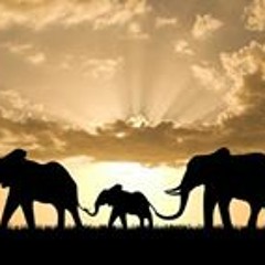 Linette Harriott Standing