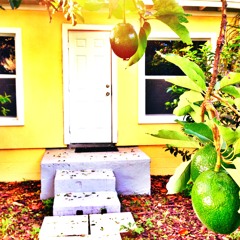 Lisa Dallas-B Coltrane