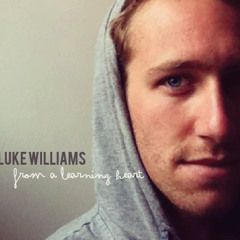 Luke Williams Band