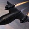 Blackbird