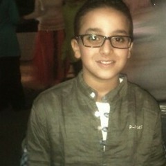mostafa_elmeshneb