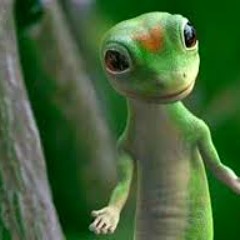 Gecktech