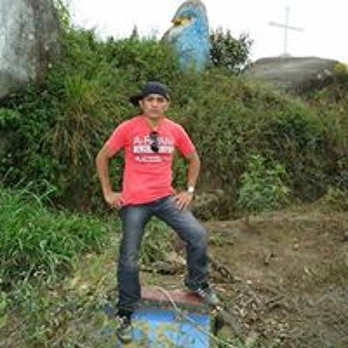 Alfredo Rojas Pintado’s avatar