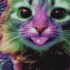 ACIDCAT