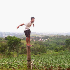 reggae
