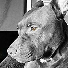 Johnathan JBreezy Boling