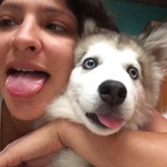 Tutyfruty Montoya Heredia