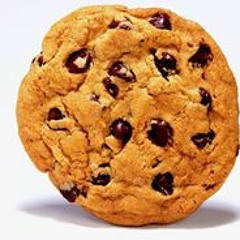 Chip Fudge