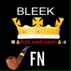 Flee_Bleek