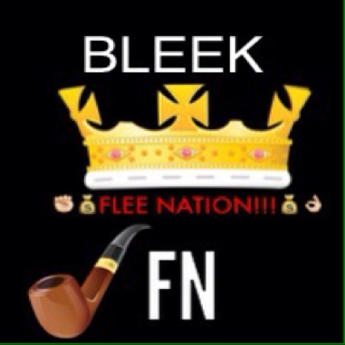 Flee_Bleek’s avatar