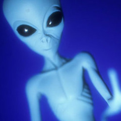 BoringBob&MonotonousMob