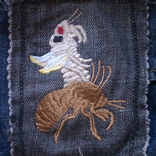 Stream The Magic Cicadas music | Listen to songs, albums, playlists for ...