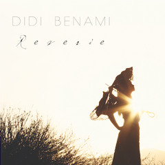 Didi Benami
