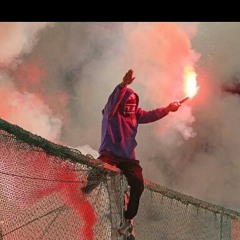 stev_v