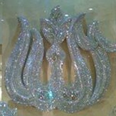 Shaimaa Amr 4