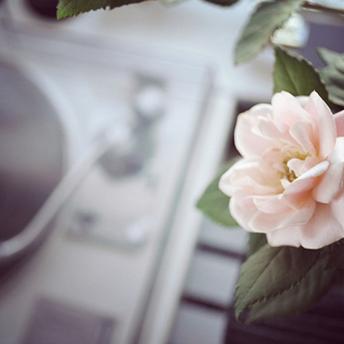 مش قادر- يزن الروسان