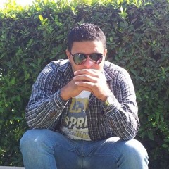 Ahmed Swilm 2