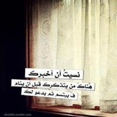 Amgad Adel