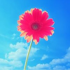 Kara McFadden Klubertanz