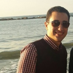 Ahmed M. El Bedwihy