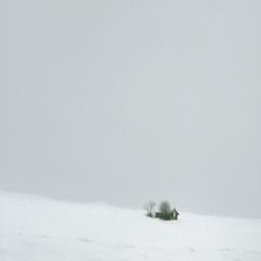memoriesofgreen
