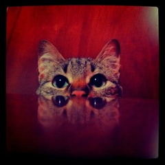 Juan Pablo Tribín Rivera