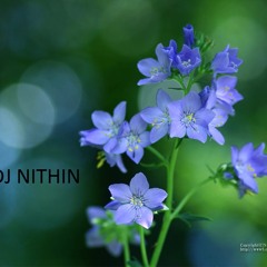 Non Stop Hindi Remix Mashup By Dj Nithin Dubai