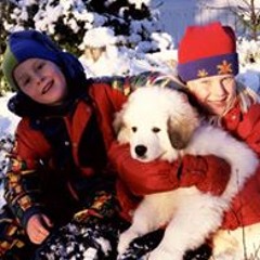 Kristoffer Edvardsen