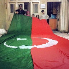 PTI Insafians