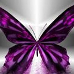 Heather Wilbur Sloan