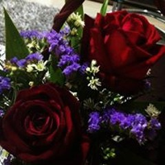 Jelly Ana-Külahçıoğlu