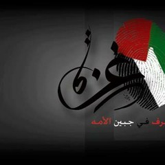 Hamas Riyadh AL-Gaili