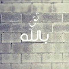 Mohamed Abdallah 241