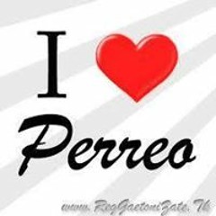 jaime alejandro swager