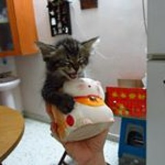 Lemuel Ling Shu Yong