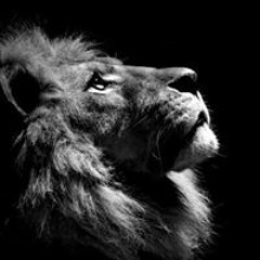 Vassilis Michaelidis