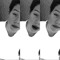 Andrew Brouwer 1