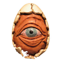 eggeye
