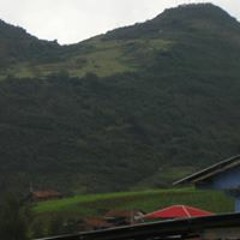 Jose Jvc Habivi