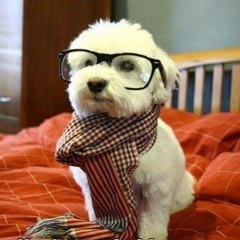 Diwas gurung - Machhi Kadaile(cover)