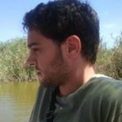 Francisco Martín Bravo