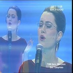 Dönülmez Akşamın Ufkundayız - Münir Nurettin Selçuk