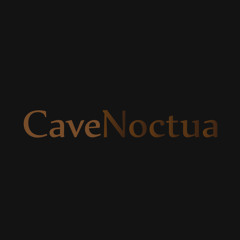 Cave Noctua