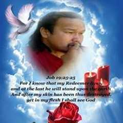 jenelle206anderson334